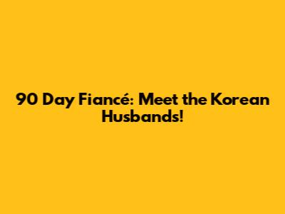 90 Day Fiancé: Meet the Korean Husbands!