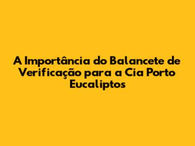 A Importância do Balancete de Verificação para a Cia Porto Eucaliptos