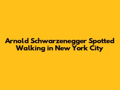 Arnold Schwarzenegger Spotted Walking in New York City