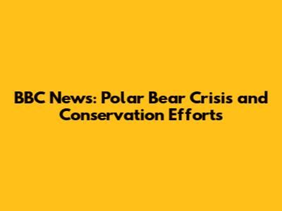 BBC News: Polar Bear Crisis and Conservation Efforts