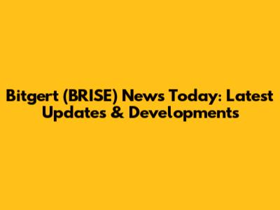 Bitgert (BRISE) News Today: Latest Updates & Developments