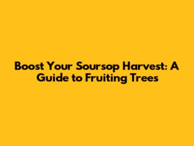 Boost Your Soursop Harvest: A Guide to Fruiting Trees