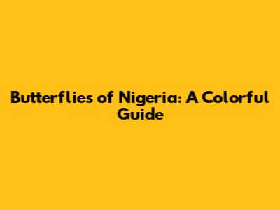 Butterflies of Nigeria: A Colorful Guide