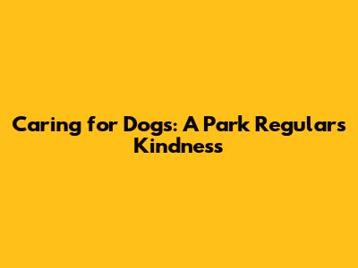 Caring for Dogs: A Park Regular's Kindness