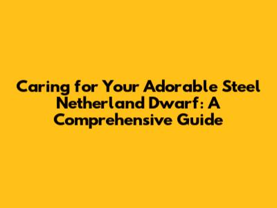 Caring for Your Adorable Steel Netherland Dwarf: A Comprehensive Guide