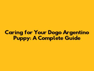 Caring for Your Dogo Argentino Puppy: A Complete Guide