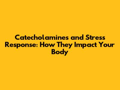 Catecholamines and Stress Response: How They Impact Your Body
