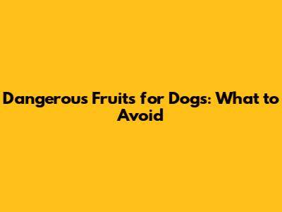Dangerous Fruits for Dogs: What to Avoid