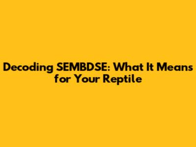 Decoding SEMBDSE: What It Means for Your Reptile
