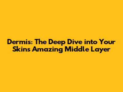 Dermis: The Deep Dive into Your Skin's Amazing Middle Layer