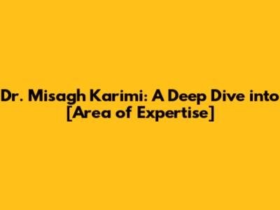 Dr. Misagh Karimi: A Deep Dive into [Area of Expertise]
