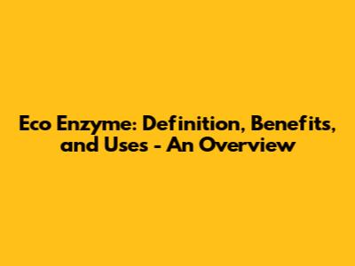 Eco Enzyme: Definition, Benefits, and Uses - An Overview