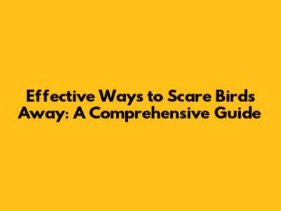 Effective Ways to Scare Birds Away: A Comprehensive Guide