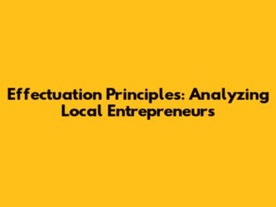 Effectuation Principles: Analyzing Local Entrepreneurs