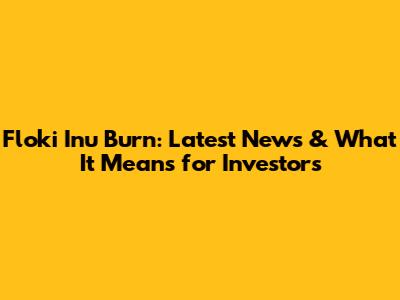 Floki Inu Burn: Latest News & What It Means for Investors