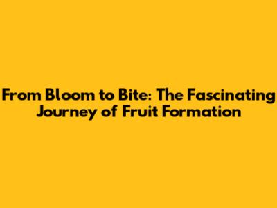 From Bloom to Bite: The Fascinating Journey of Fruit Formation