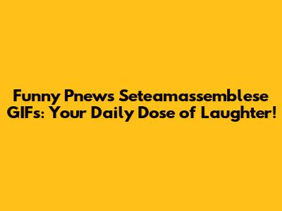 Funny Pnews Seteamassemblese GIFs: Your Daily Dose of Laughter!