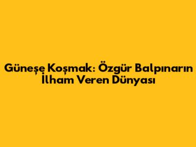 Güneşe Koşmak: Özgür Balpınar'ın İlham Veren Dünyası