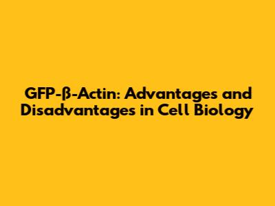 GFP-β-Actin: Advantages and Disadvantages in Cell Biology