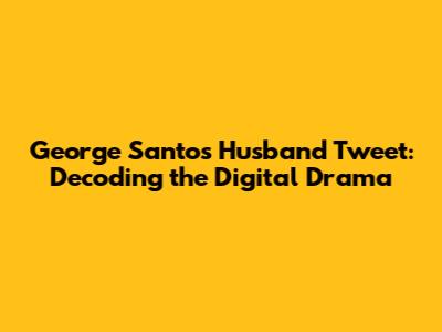 George Santos Husband Tweet: Decoding the Digital Drama