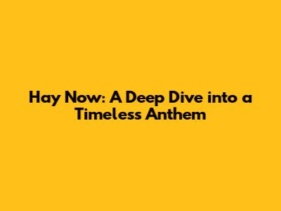 Hay Now: A Deep Dive into a Timeless Anthem