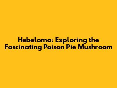 Hebeloma: Exploring the Fascinating Poison Pie Mushroom