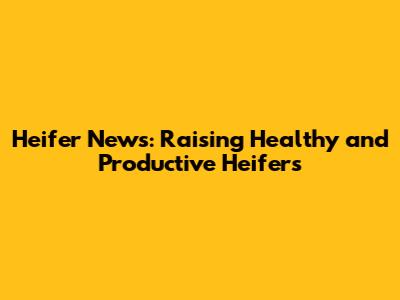 Heifer News: Raising Healthy and Productive Heifers