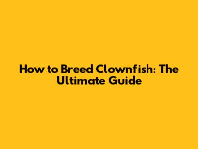 How to Breed Clownfish: The Ultimate Guide