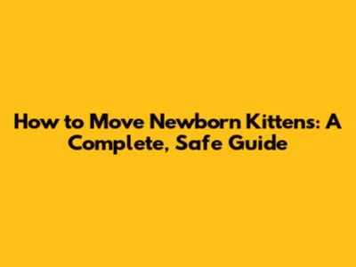 How to Move Newborn Kittens: A Complete, Safe Guide