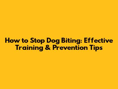 How to Stop Dog Biting: Effective Training & Prevention Tips