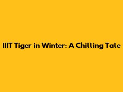 IIIT Tiger in Winter: A Chilling Tale