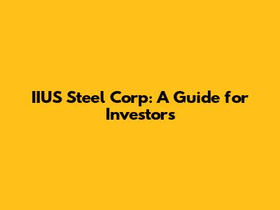 IIUS Steel Corp: A Guide for Investors