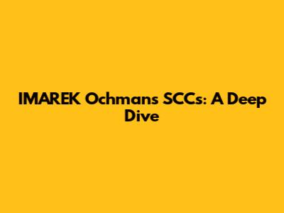 IMAREK Ochman's SCCs: A Deep Dive