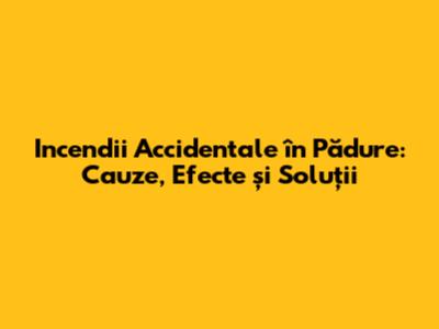 Incendii Accidentale în Pădure: Cauze, Efecte și Soluții
