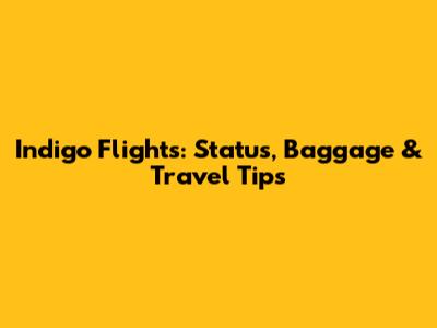 Indigo Flights: Status, Baggage & Travel Tips