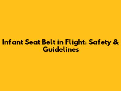 Infant Seat Belt in Flight: Safety & Guidelines