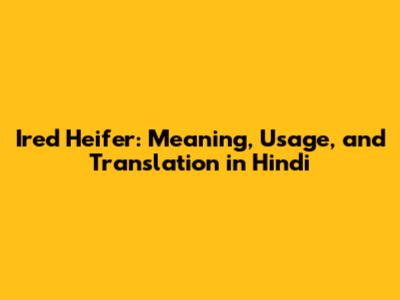 Ired Heifer: Meaning, Usage, and Translation in Hindi