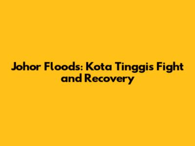 Johor Floods: Kota Tinggi's Fight and Recovery