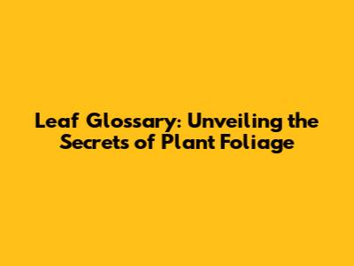 Leaf Glossary: Unveiling the Secrets of Plant Foliage