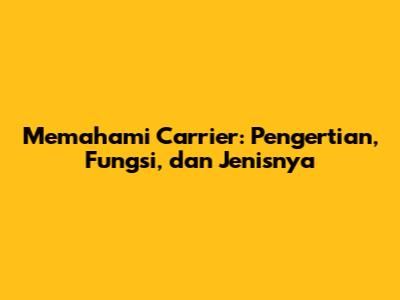 Memahami Carrier: Pengertian, Fungsi, dan Jenisnya