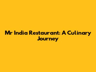 Mr India Restaurant: A Culinary Journey