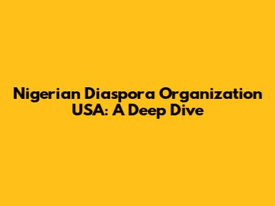 Nigerian Diaspora Organization USA: A Deep Dive