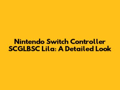 Nintendo Switch Controller SCGLBSC Lila: A Detailed Look