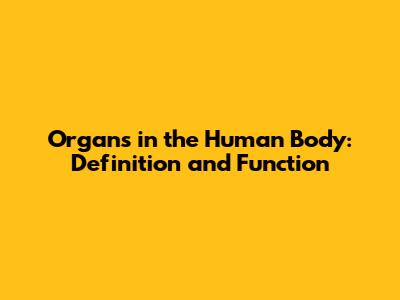 Organs in the Human Body: Definition and Function