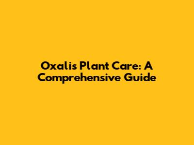 Oxalis Plant Care: A Comprehensive Guide