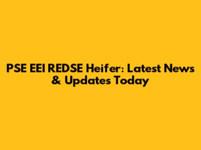 PSE EEI REDSE Heifer: Latest News & Updates Today