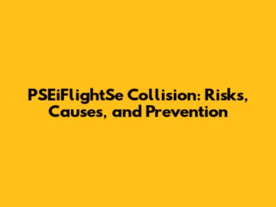 PSEiFlightSe Collision: Risks, Causes, and Prevention
