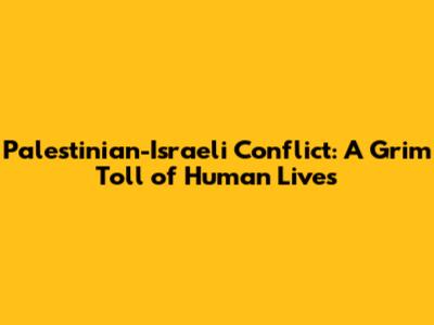 Palestinian-Israeli Conflict: A Grim Toll of Human Lives