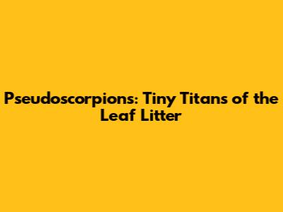 Pseudoscorpions: Tiny Titans of the Leaf Litter