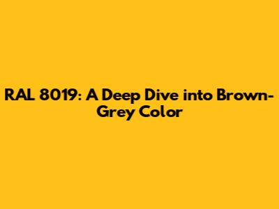 RAL 8019: A Deep Dive into Brown-Grey Color